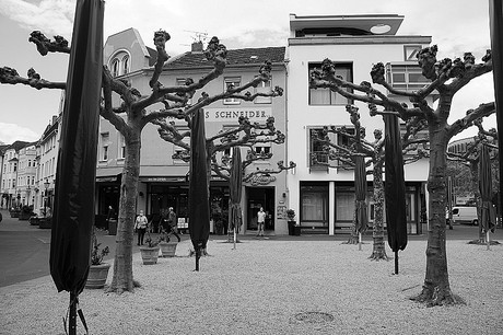 Bad Godesberg